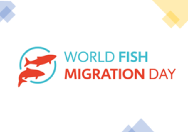 dia_mundial_dos_peixes_migradores
