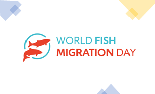 Dia mundial dos peixes migradores 1 980 2500