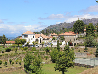Img 5339 1 980 2500