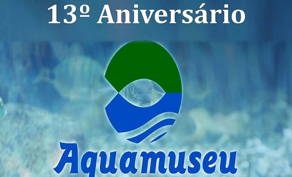 Cartaz anivers rio para a agenda 1 980 2500